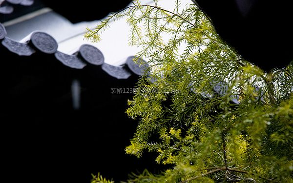 雨水是什么意思