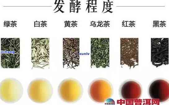 什么叫半发酵茶，探秘半发酵茶：究竟什么是半发酵茶？