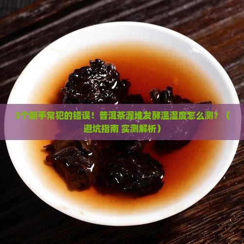 3个新手常犯的错误！普洱茶渥堆发酵温湿度怎么测？（避坑指南+实测解析）