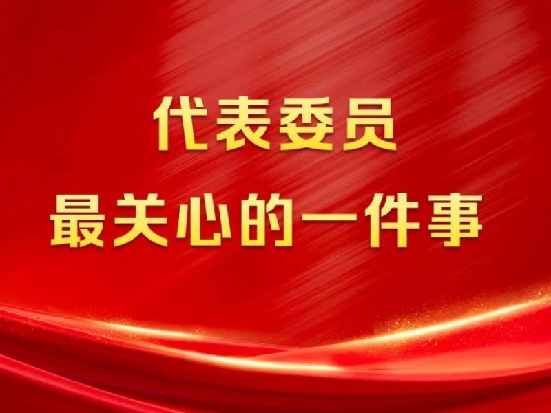深耕群众身边的民生案件、提升洗钱犯罪办案质效……代表们关心这些事