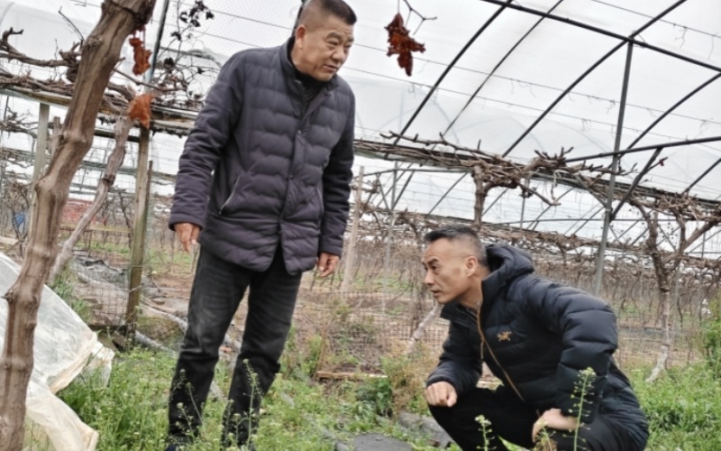 湖北赤壁烟草：党建与产业融合 红色引擎动力澎湃