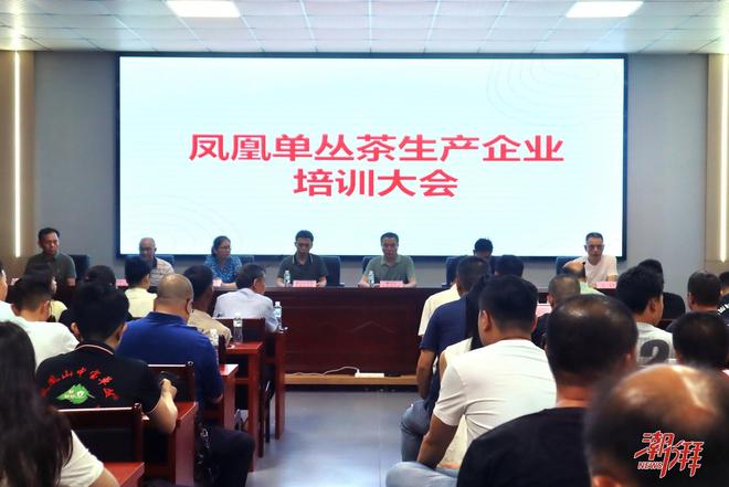 筑牢质量防线 守护金字招牌！潮州潮安举办凤凰单丛茶生产企业培训会