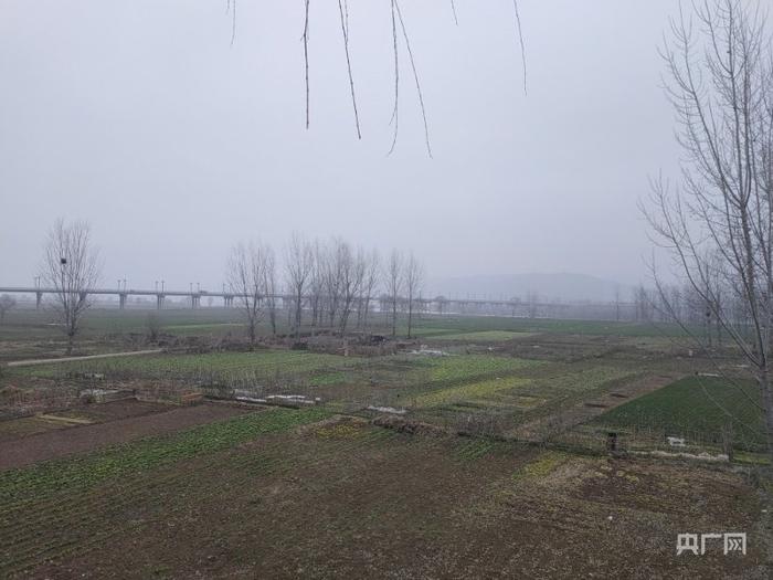 嵩县陆浑湖国家湿地公园生态修复前景象（央广网发 陆浑湖国家湿地公园管理中心供图）