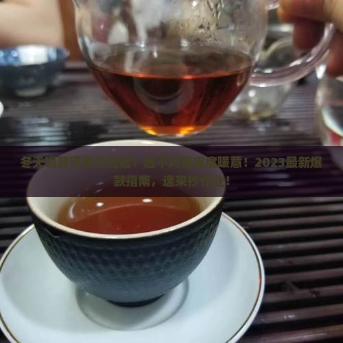 冬天喝普洱茶总选错？选不对就虚度暖意！2023最新爆款指南，速来抄作业！