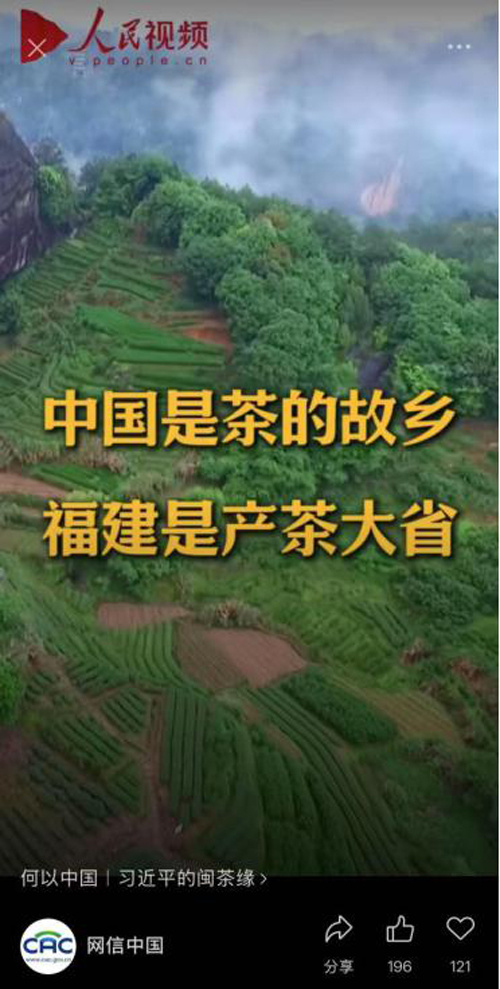 万里茶道闽茶之源，将军令大红袍浸润百年文化传承