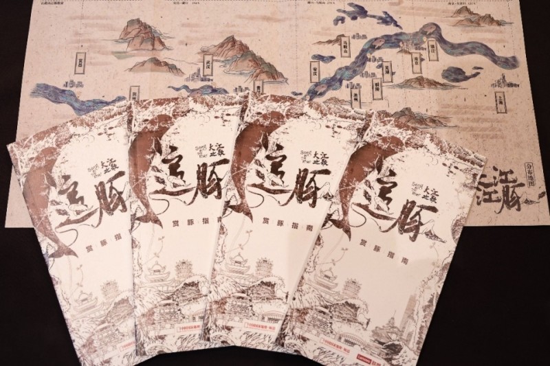 全球首份长江江豚追豚地图及赏豚攻略来了，还附有观测点位和拍摄技巧