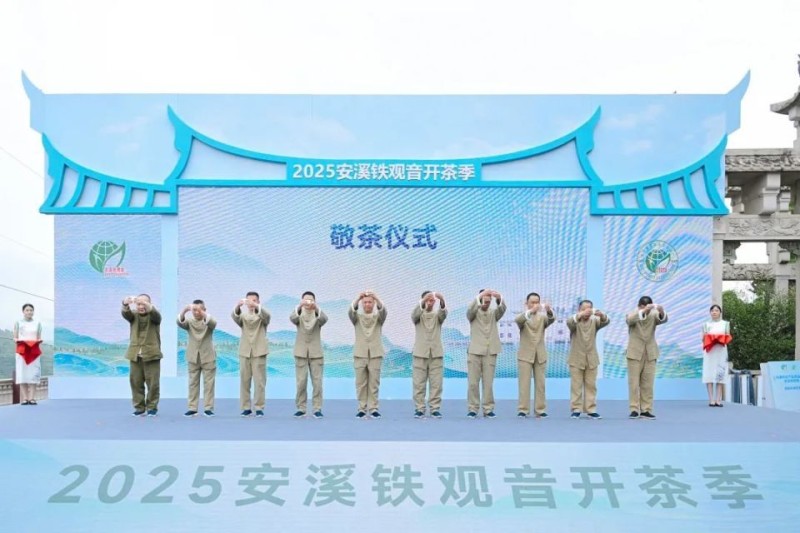 安溪：“三茶”统筹绘就产业新画卷